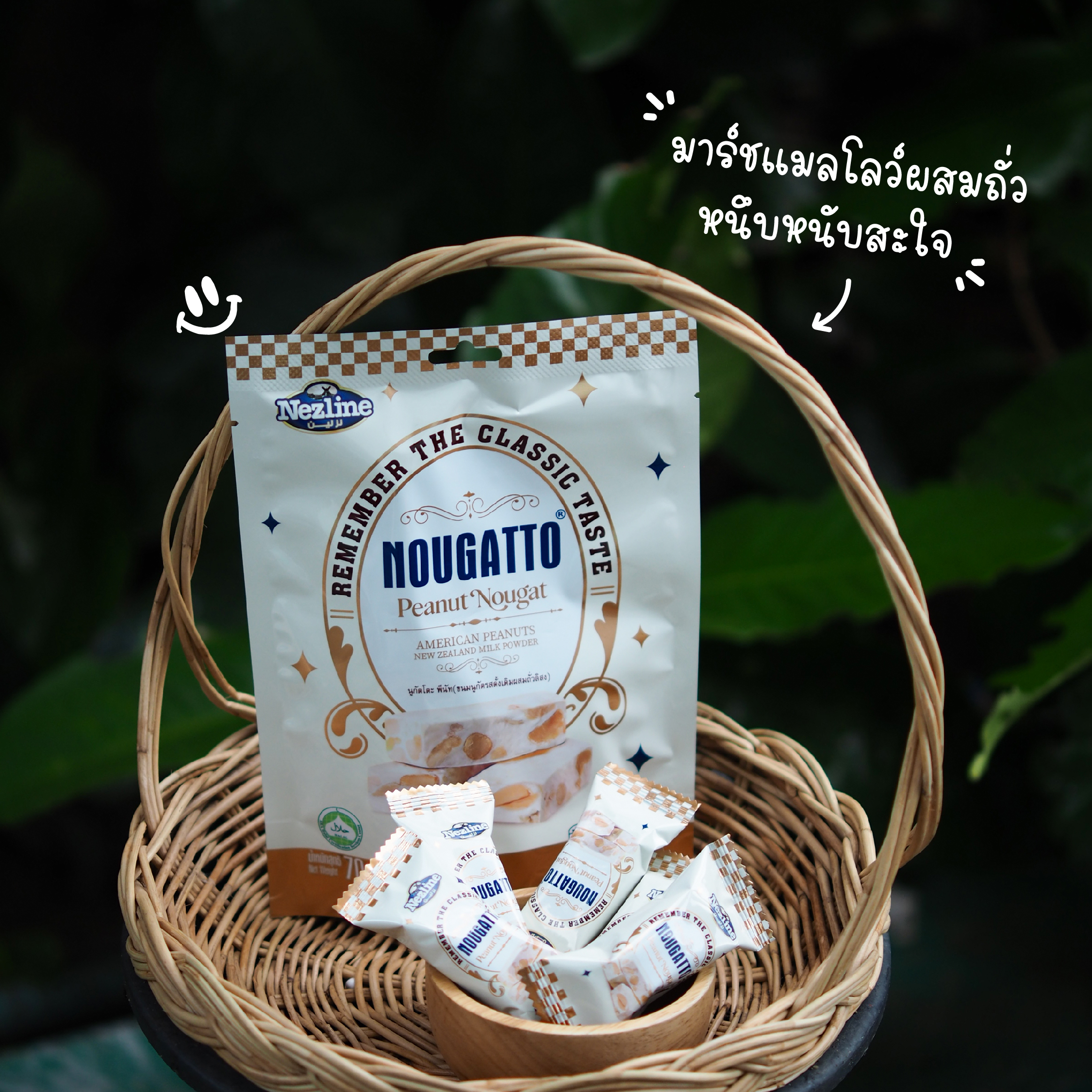 Nougatto Peanut 70 g